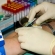 Testing for HGH Deficiencies – How HGH Deficiencies are Tested For