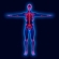 Osteoporosis Treatment with HGH