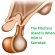 10 Signs of an HGH Deficiency